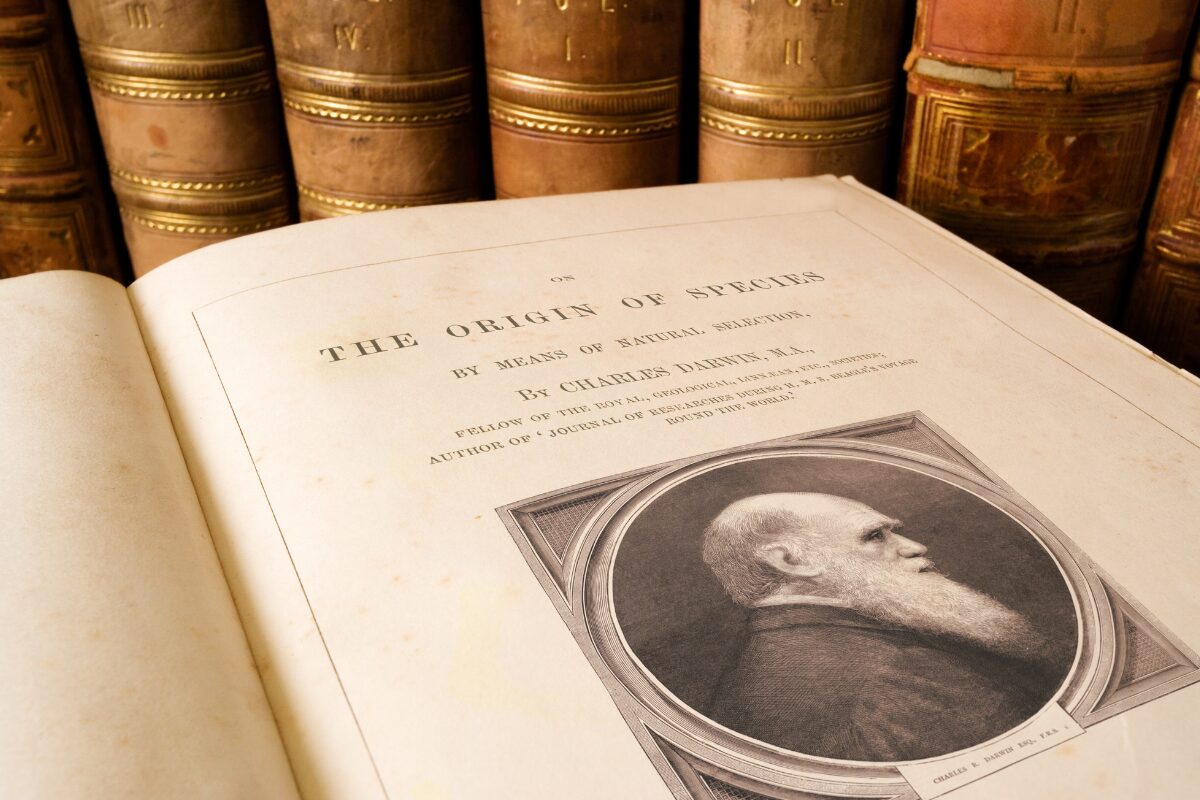 自分2.0へ　進化するための簡単な方法 AI？DX？ゼロタッチキッティング？元素記号か何かの呪文か？「ついていけないー。」というあなた。簡単に進化するための方法をひとつ紹介します。