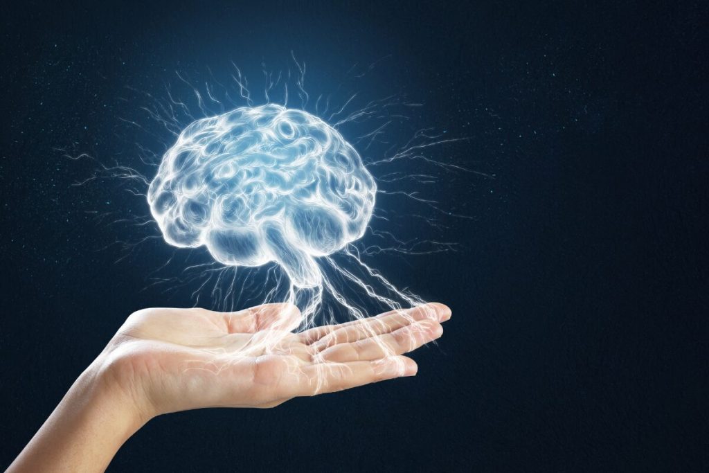 メンタルやばい人に起きること
脳の働き
脳の写真