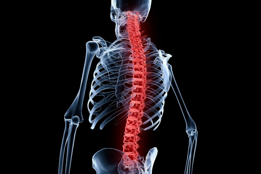 マッサージ店ってどうなの？
危険な部位
脊椎の写真