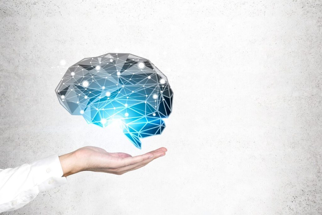 睡眠中にあなたの身体で起きていること
脳部門
脳の電気信号