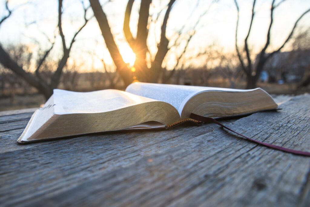 結婚式とは?
歴史
聖書の写真