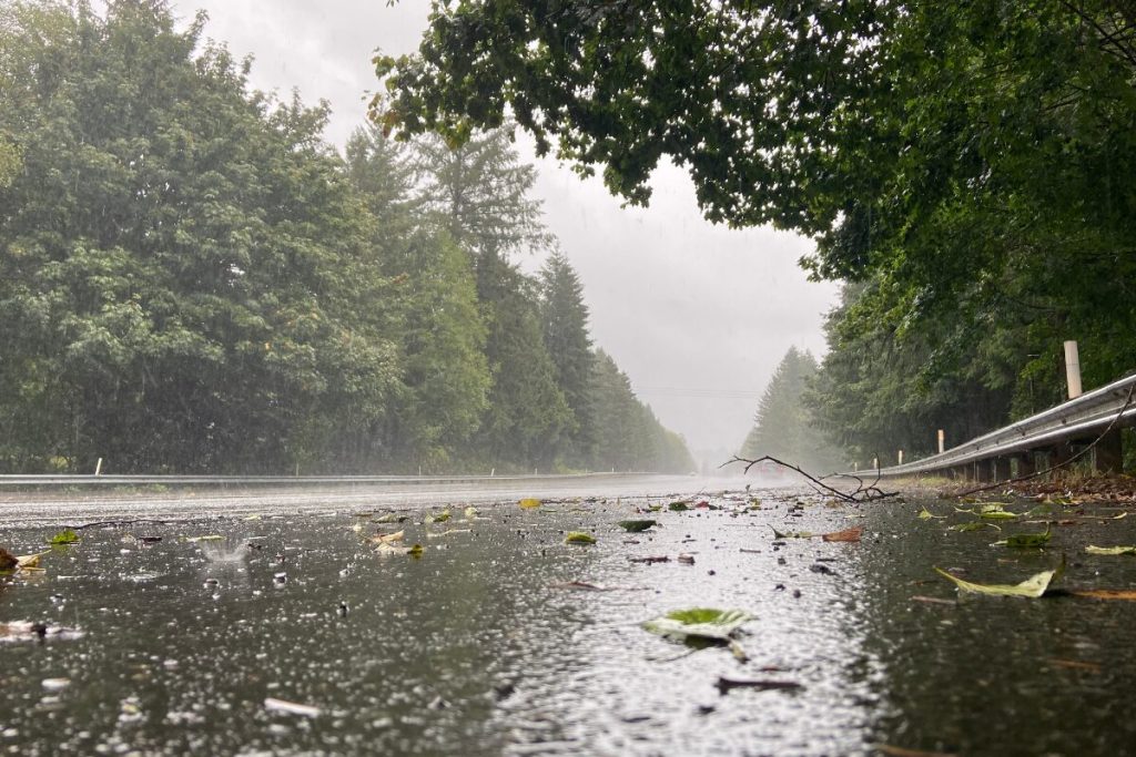 絶対シアワセ！6月の花嫁
6月の人気は
雨模様の写真