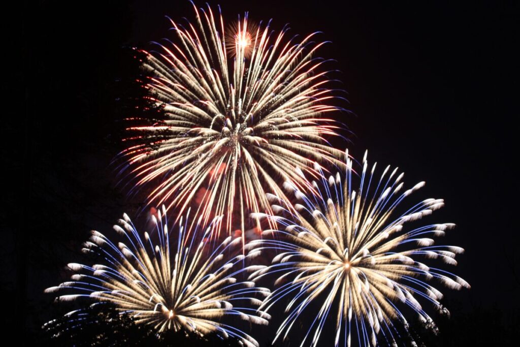 夏をどうしても味わいたい
花火大会は屋内で
