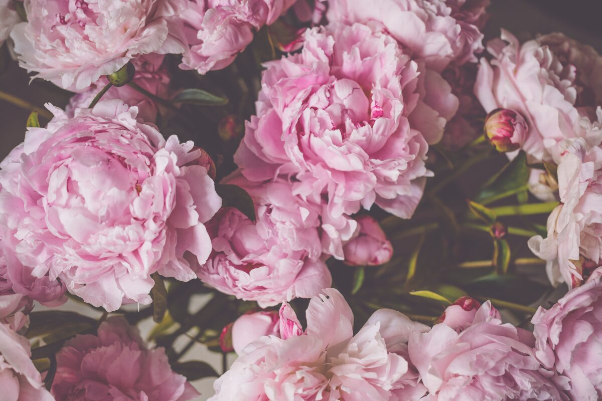 立てば芍薬、座れば牡丹 立てば芍薬、座れば牡丹、歩く姿は百合の花。これ読めますか？昔から美しい姿を花に例えていたように、美しい女性であるための立ち振る舞いはとても大事です。