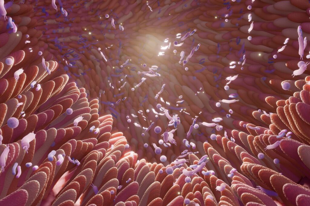 ズボラOK！無理なく続く簡単腸活
腸活とは？
腸内細菌の写真