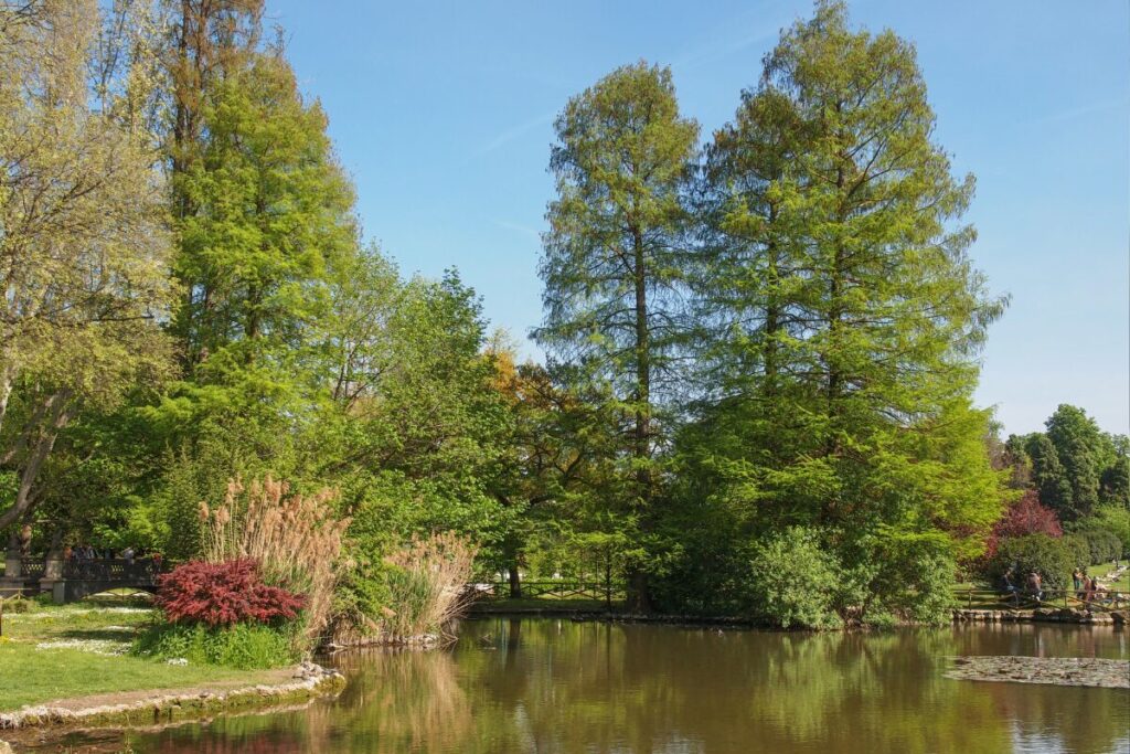 犯罪が発生しやすいホットスポット
公園