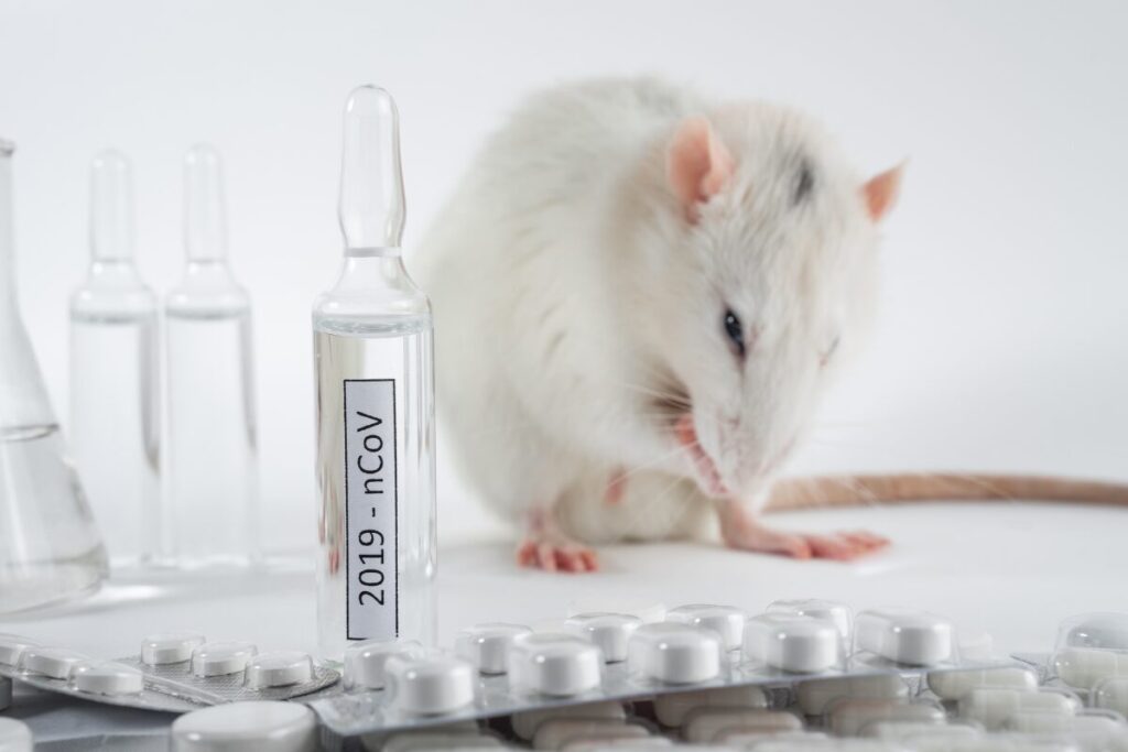 結婚は人類に必要です
ユニバース25
実験用のマウス