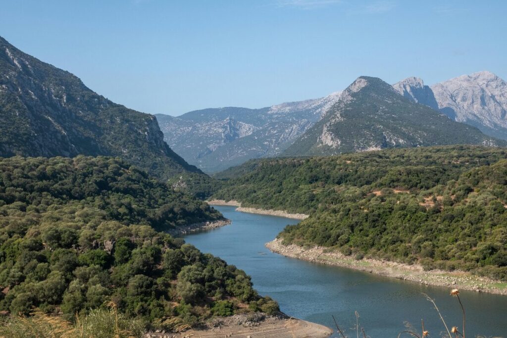 開運！について
大きな川です
大きな川