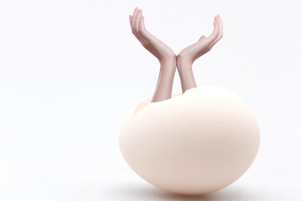 販売戦略会議　売れないオヒトリサマ必見、目からうろこの戦略とは？
リブランディング
卵から生まれる何か