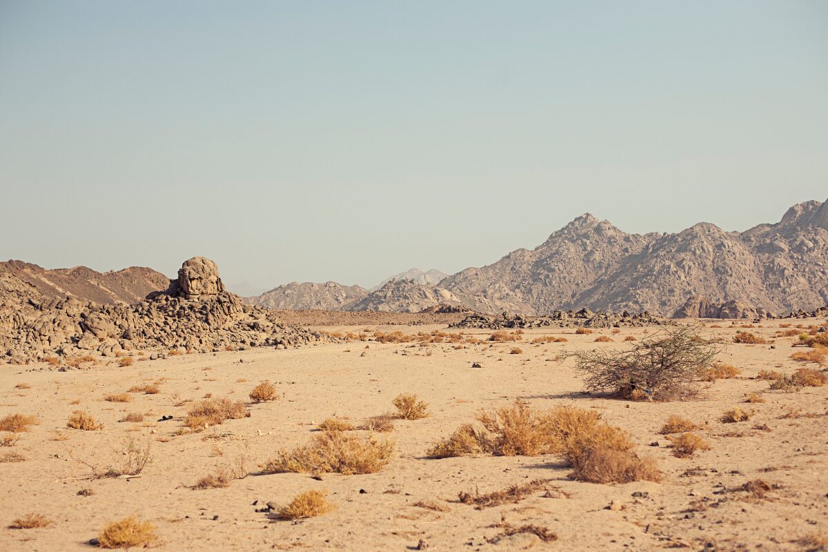 乾燥の季節です 冬は乾燥の季節、乾燥といえばスキンケアの敵、ならば水分を補給するしかありません。今回は効率良く水分を補給しましょうというお話です。