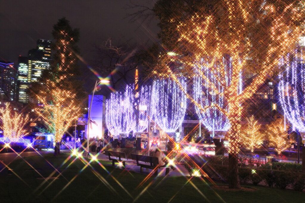 恋人たちのイルミネーション
日本一のイルミネーション
壮大なイルミネーション