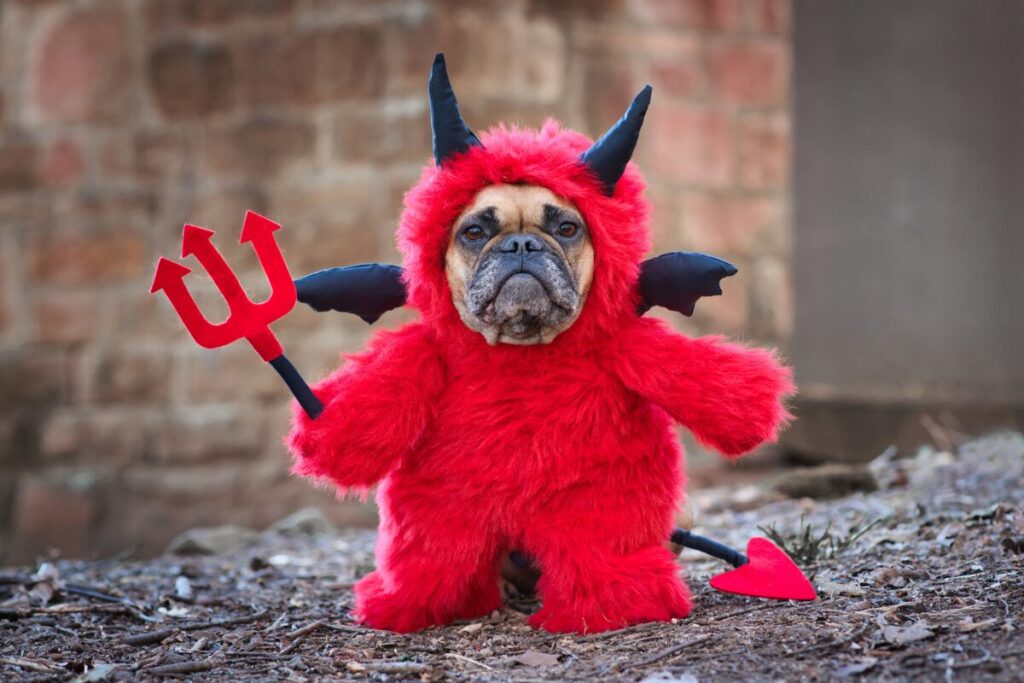 サンタさんって誰？
赤い悪魔説
赤い悪魔