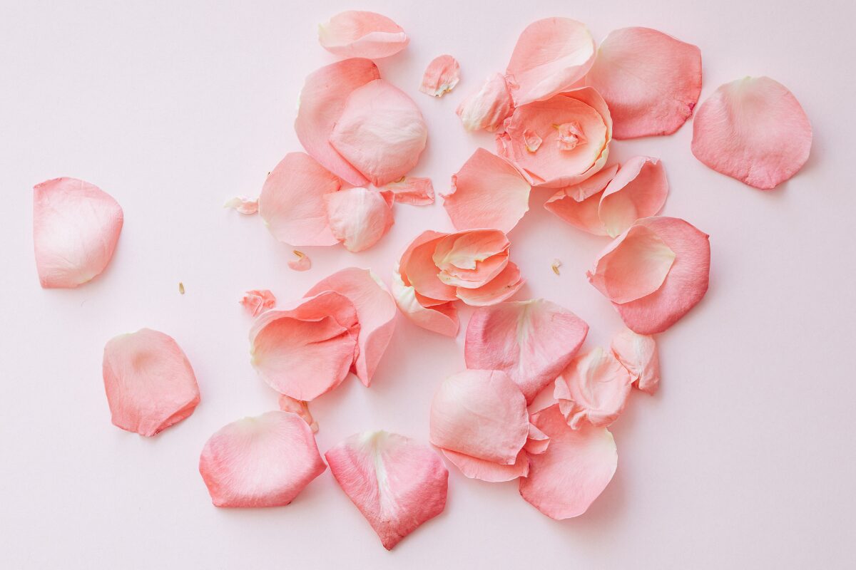 恋愛占い　信じる？信じない？ 気になる異性との恋愛がうまくいくのか？あるいはその相性は？そんな分かるはずもないことを知るために占いに頼る人は大勢います。もちろん全てを信じている人はいないと思いますが、その信ぴょう性について考えてみましょう。