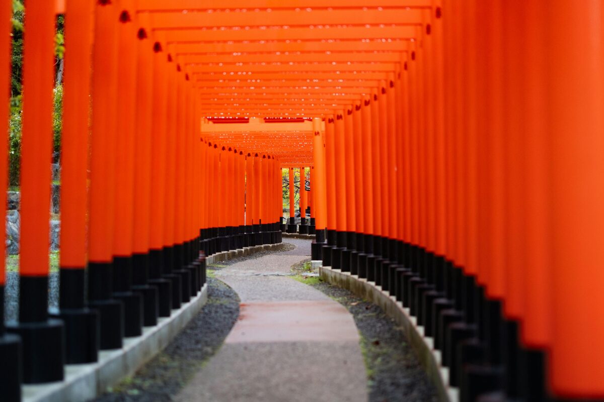 縁結びの神様に会いに行こう 初詣では何をお祈りしますか？世界平和？無病息災？家内安全？普段は素通りするくせに正月になると縁もゆかりもない神様に好き勝手な願い事をするのが日本人。神様だって得意分野があるんです！