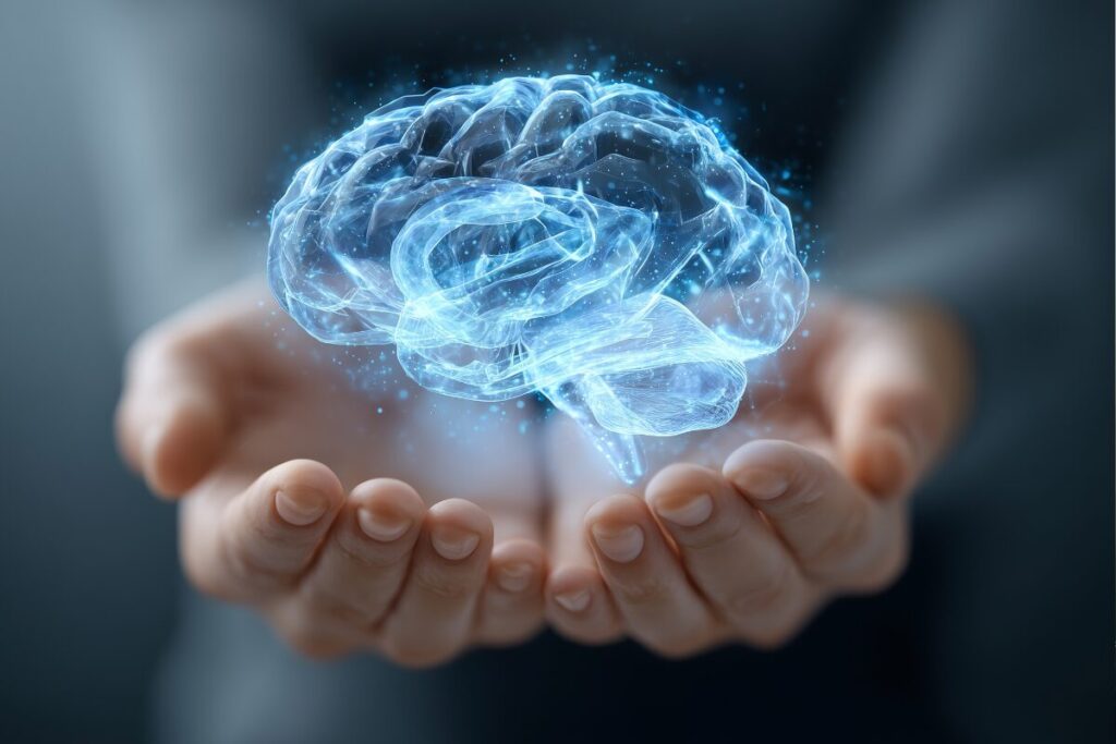 HSP敏感すぎる心を持つ人の特徴
HSP
脳のイメージ