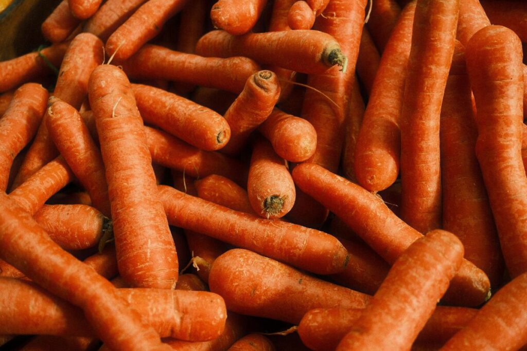 冬と言えば鍋！美しくなる鍋パーティー
美容に良い食材ランキング
ニンジン