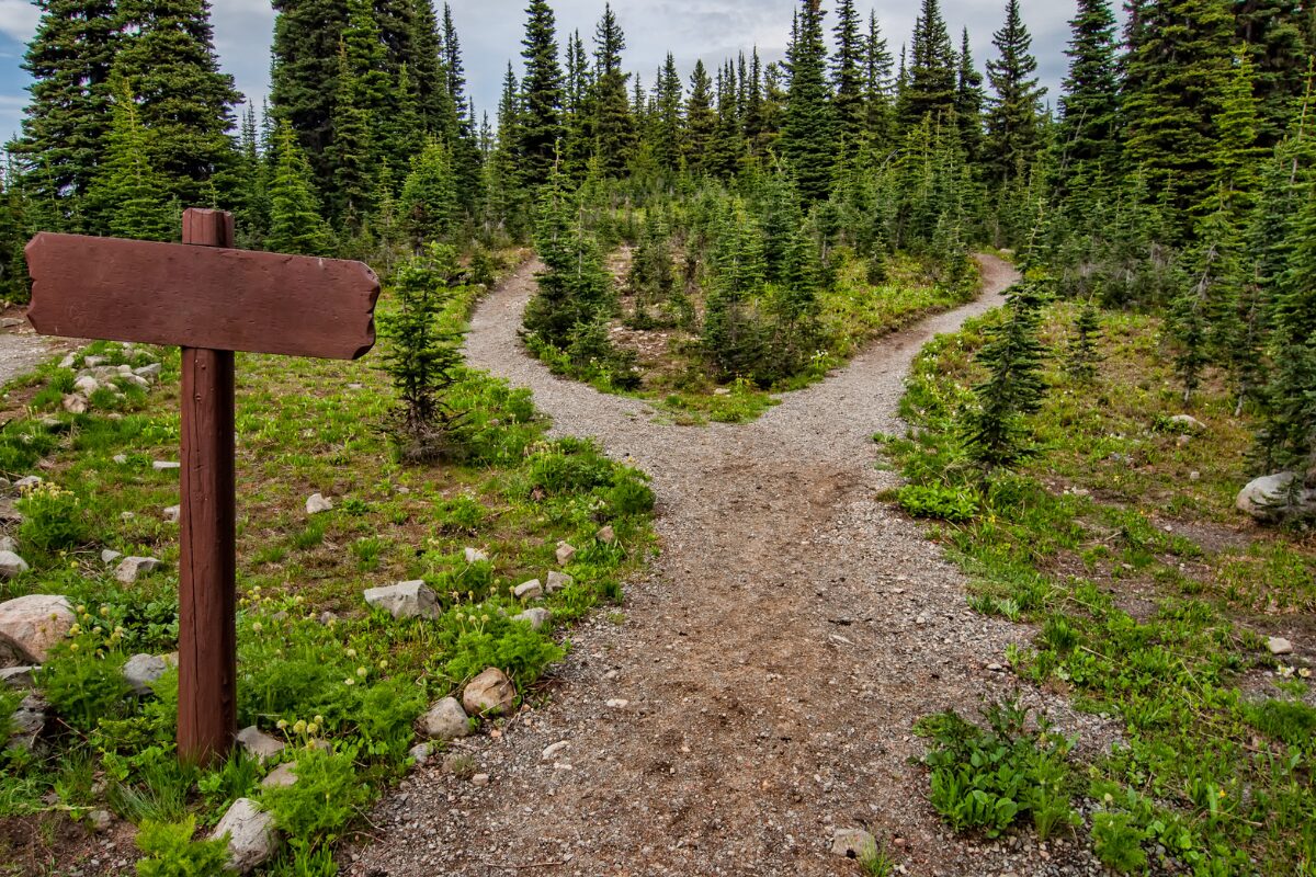 2月2日～2月8日 女性を加護する女神