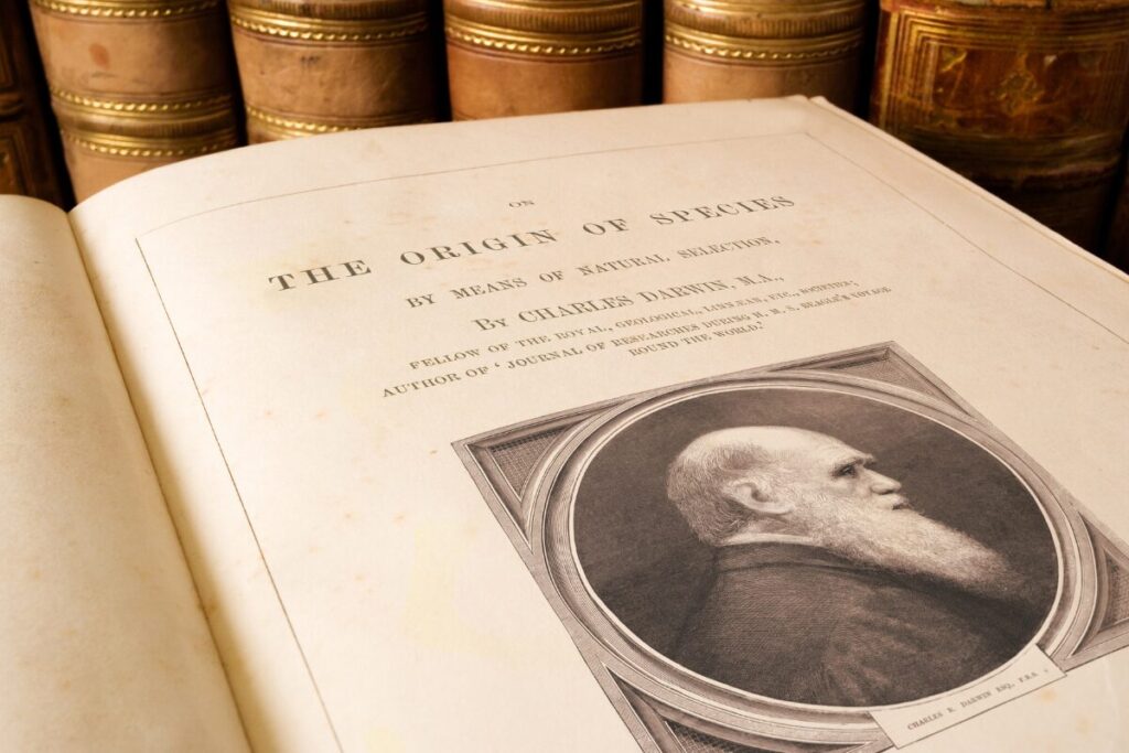 戦争なんて賛成する人いる？
誕生した時から
ダーウィンの進化論