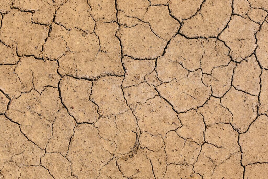 冬の紫外線はあなどれない
冬の方が被害は大きい?
乾いた大地