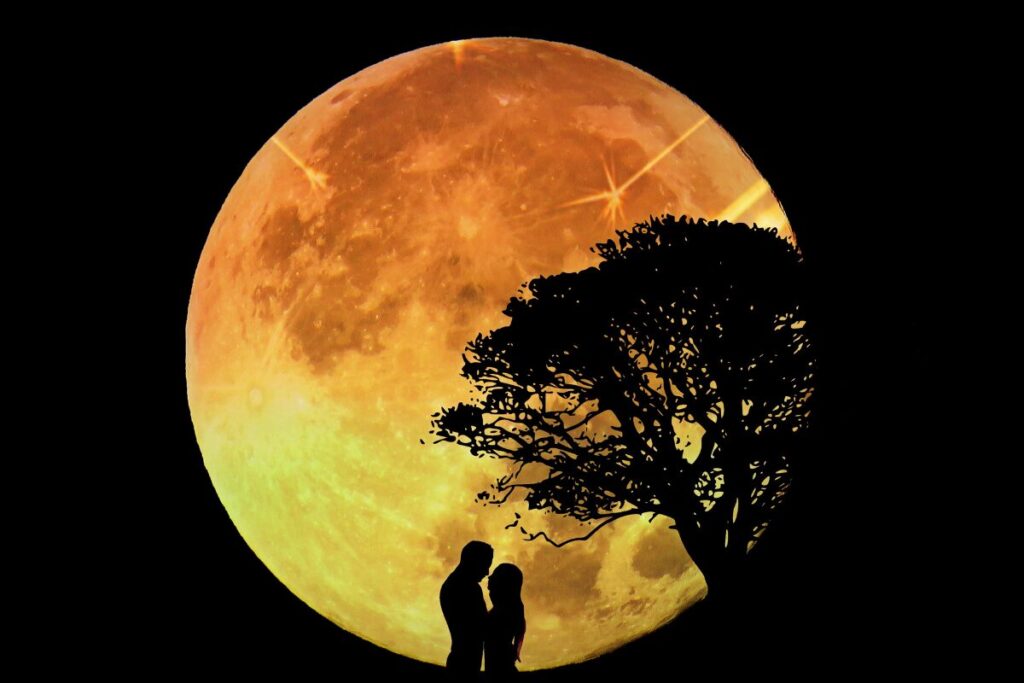 愛の言葉を探して
愛の言葉
月を見上げるカップル