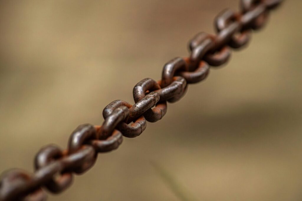 結婚したいんじゃなかったの？結婚願望の男女差
結婚を望まない理由
鎖