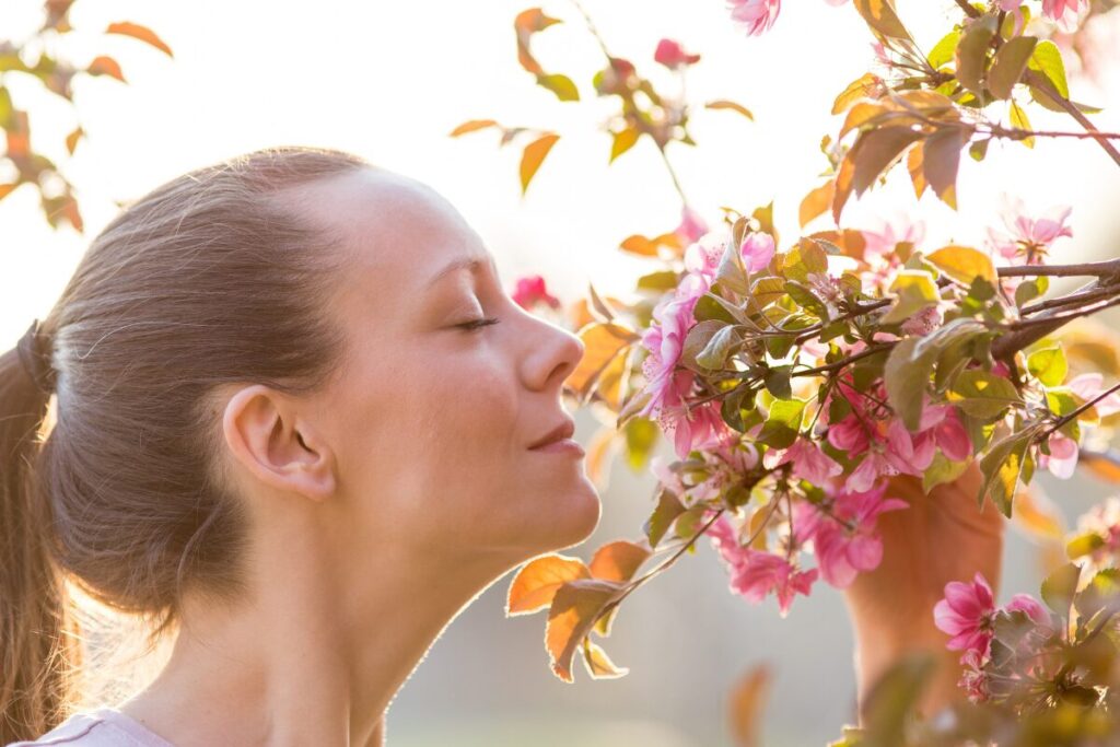 愛妻家を育てる
ただ愛でる
花の香りを楽しむ女性