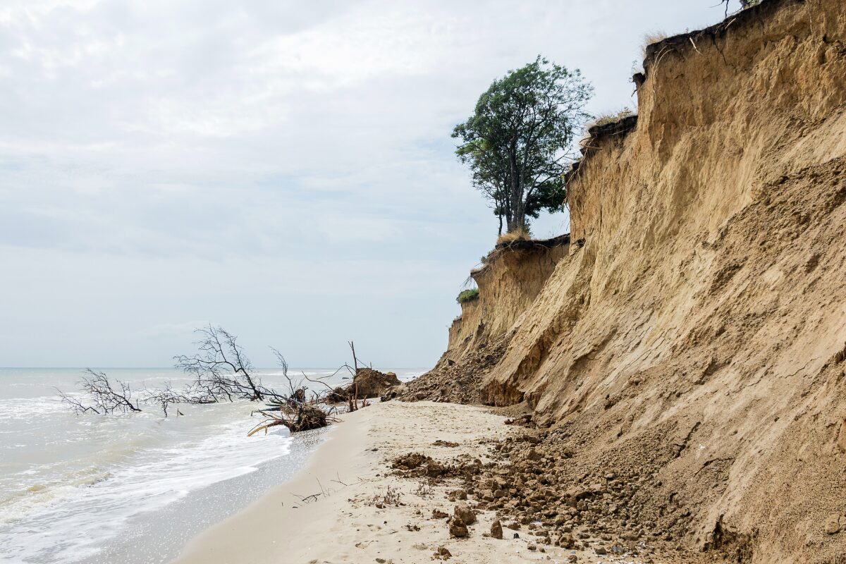 3月9日～3月15日 約束された道は閉ざされ、新たな道を探す時