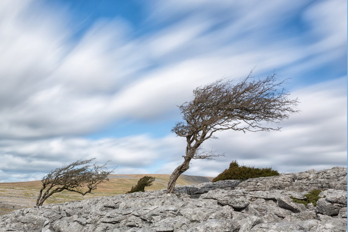 4月13日～４月19日 知恵はあなたのピンチを救います